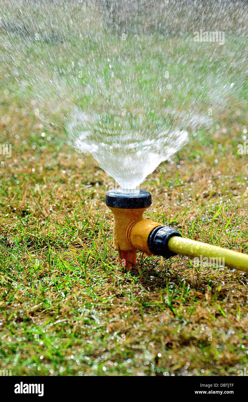 Nahaufnahme von einem Garten Sprinkler, Bewässerung Rasen Stockfoto