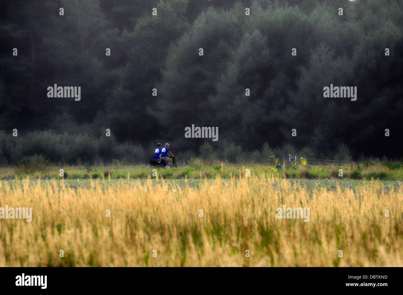 Polen Tourismus Radfahren Stockfoto