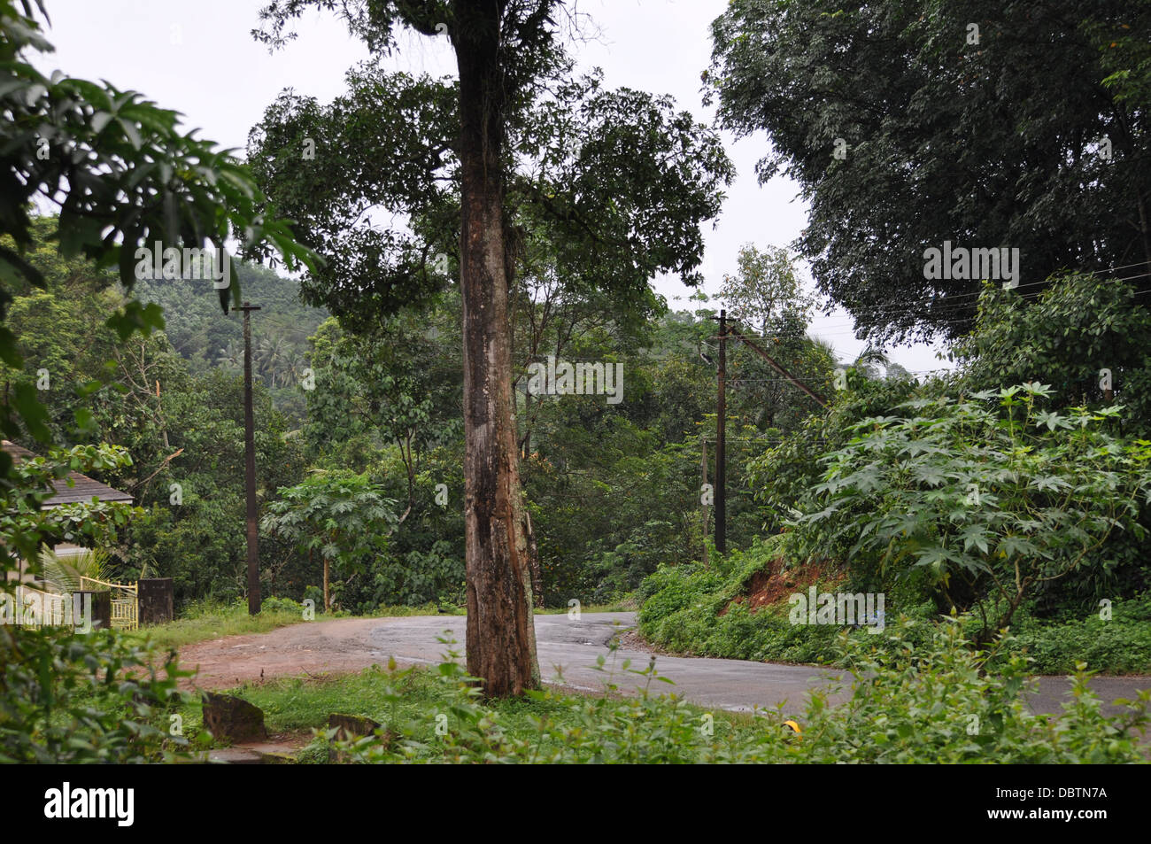 Eine einsame kurvenreiche Landstraße Ghats von Kerala Stockfoto