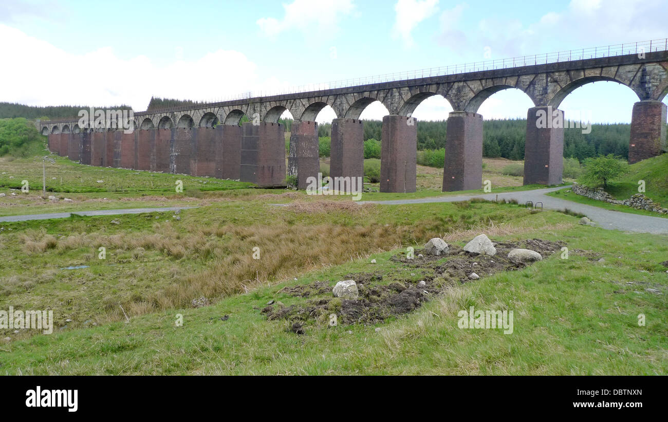 Große Wasser der Flotte Viadukt am südlichen Rand der Galloway Forest Park in Schottland. Stockfoto