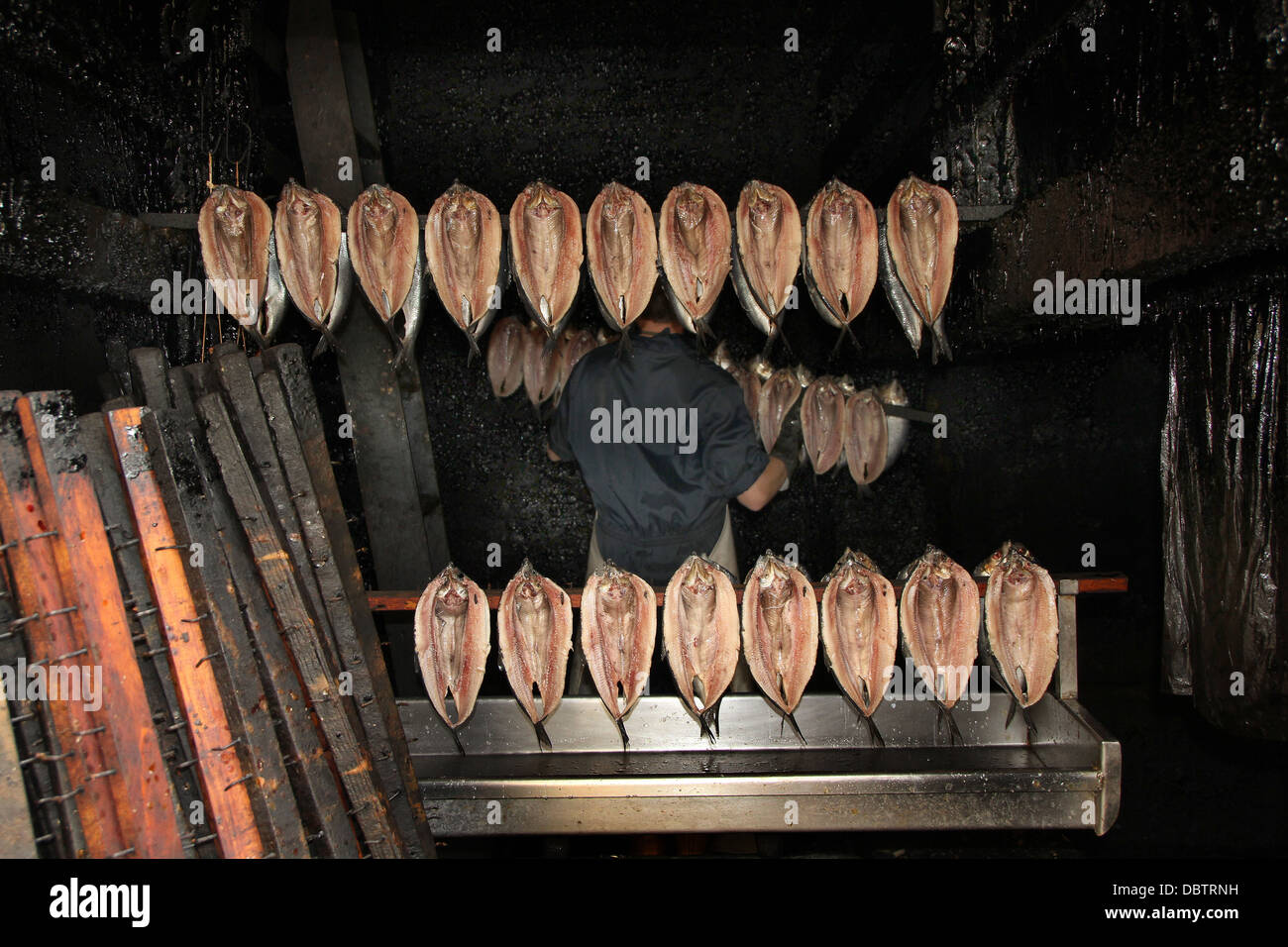 Zubereiteten Fisch in Raucherzimmer zur Bearbeitung geladen werden. Stockfoto