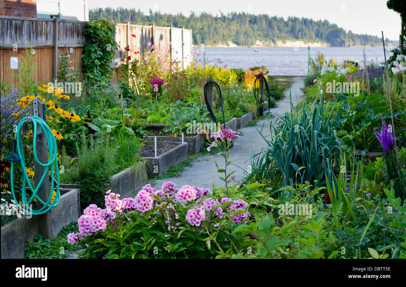 Bunte Gemeinschaftsgärten (Kontingente) am Meer in West Vancouver, Britisch-Kolumbien, Kanada.  Ambleside Park. Stockfoto