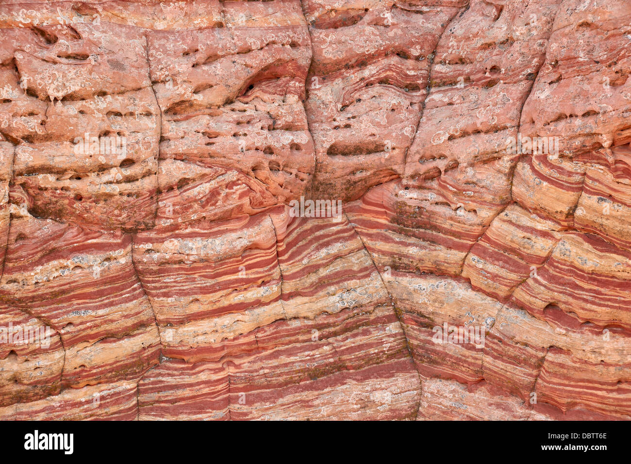 Sandsteinmauer mit rot und Lachs Schichten und Risse, Vermillion Cliffs National Monument, Arizona, Vereinigte Staaten von Amerika Stockfoto
