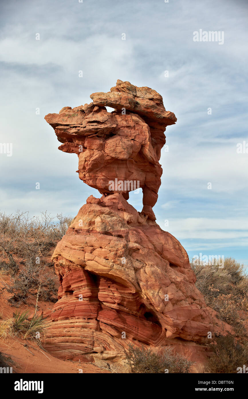 Sandstein, Formationen, Vermillion Cliffs National Monument, Arizona, Vereinigte Staaten von Amerika, Nordamerika Stockfoto
