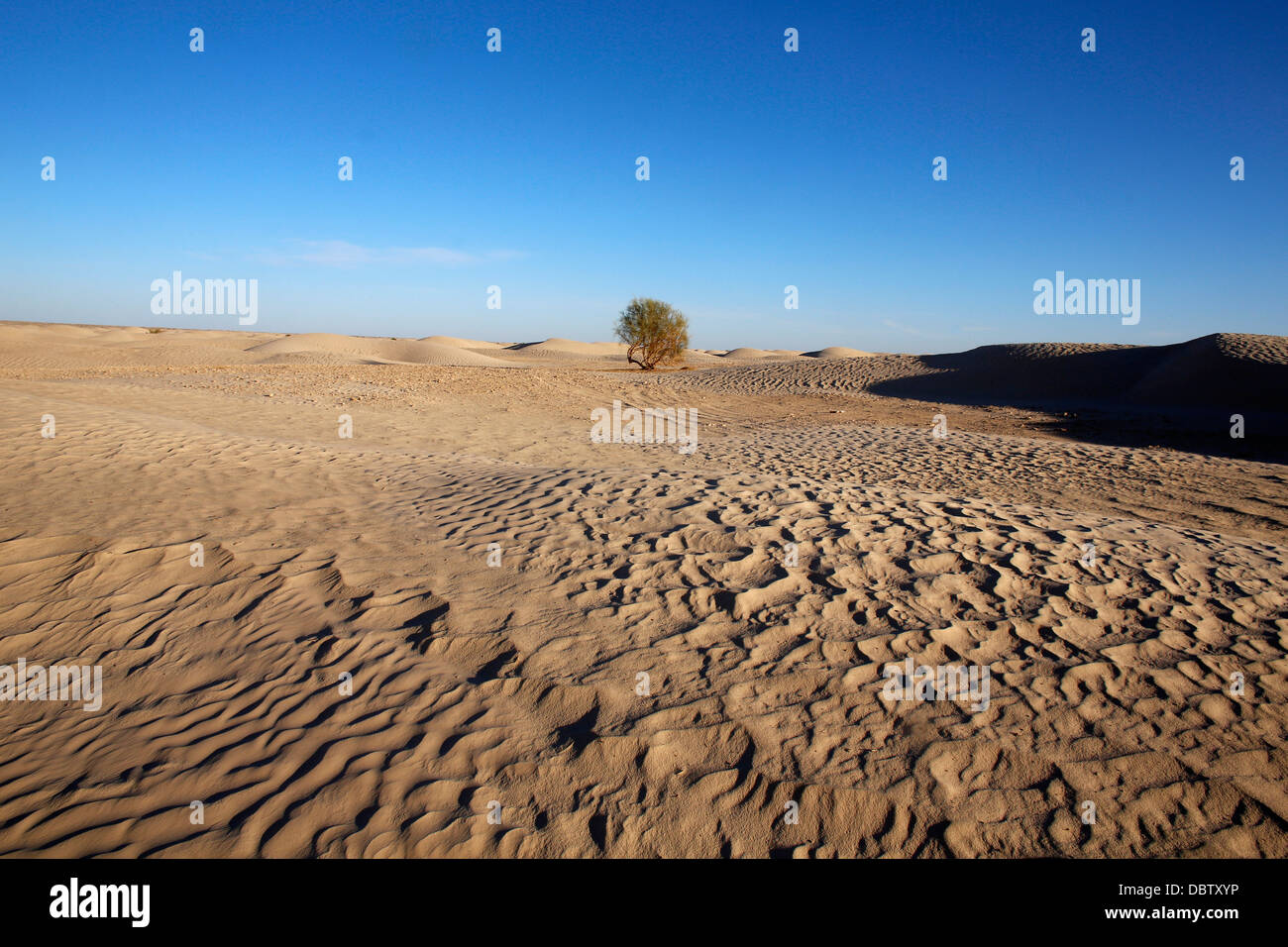 Landschaft der Sahara Douz, Kebili, Tunesien, Nordafrika, Afrika Stockfoto