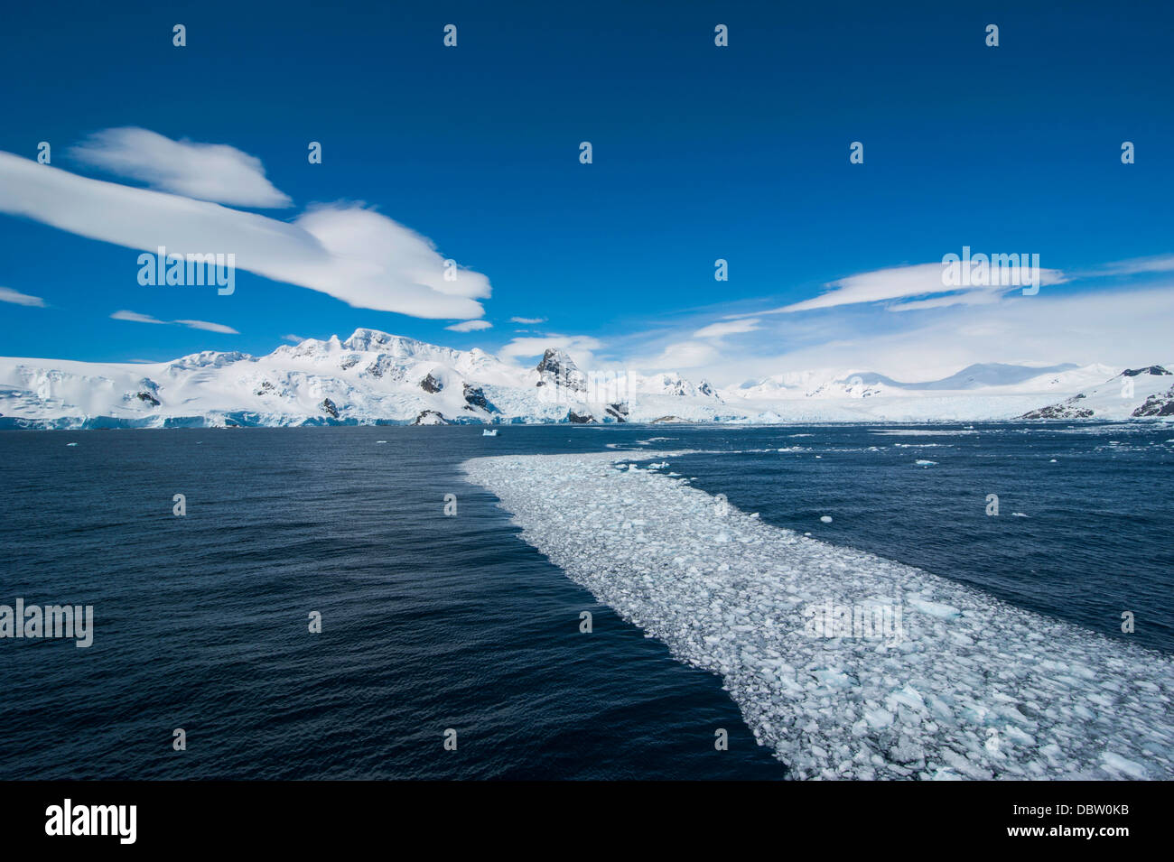 Eis auf dem Wasser, Cierva Bucht, Antarktis, Polarregionen Stockfoto