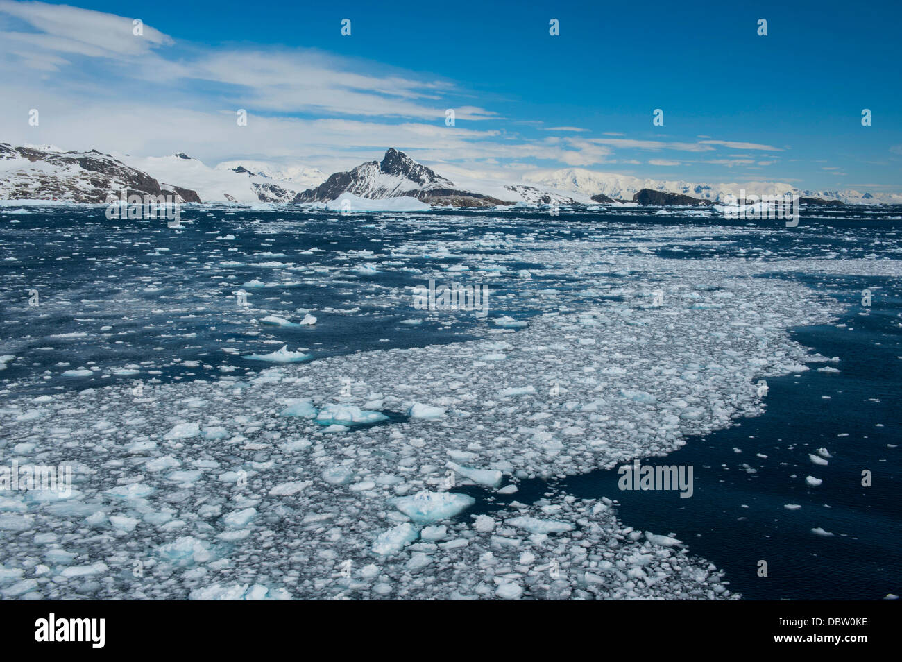 Eis auf dem Wasser, Cierva Bucht, Antarktis, Polarregionen Stockfoto