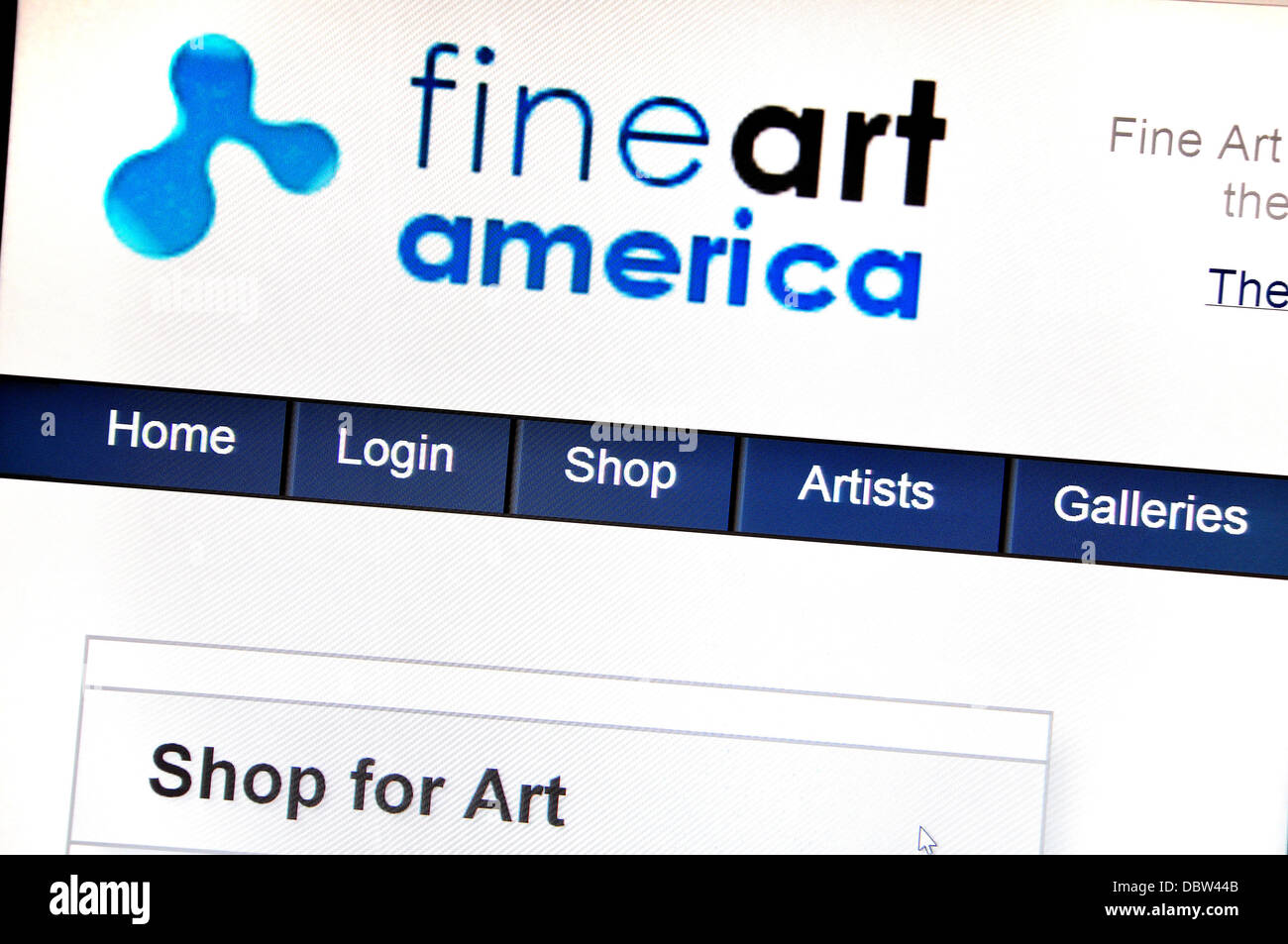 Computer-Screenshot - Internet. Fine Art America Stockfoto