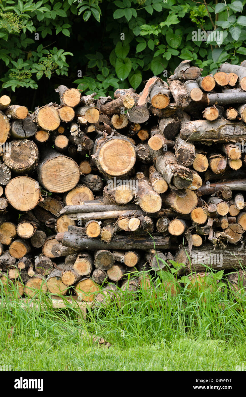 Stapel Holz in einem natürlichen Garten Stockfoto