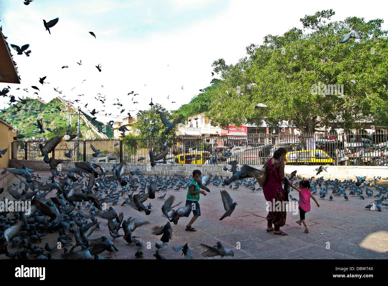 Kinder spielen mit Tauben in Indien Stockfoto
