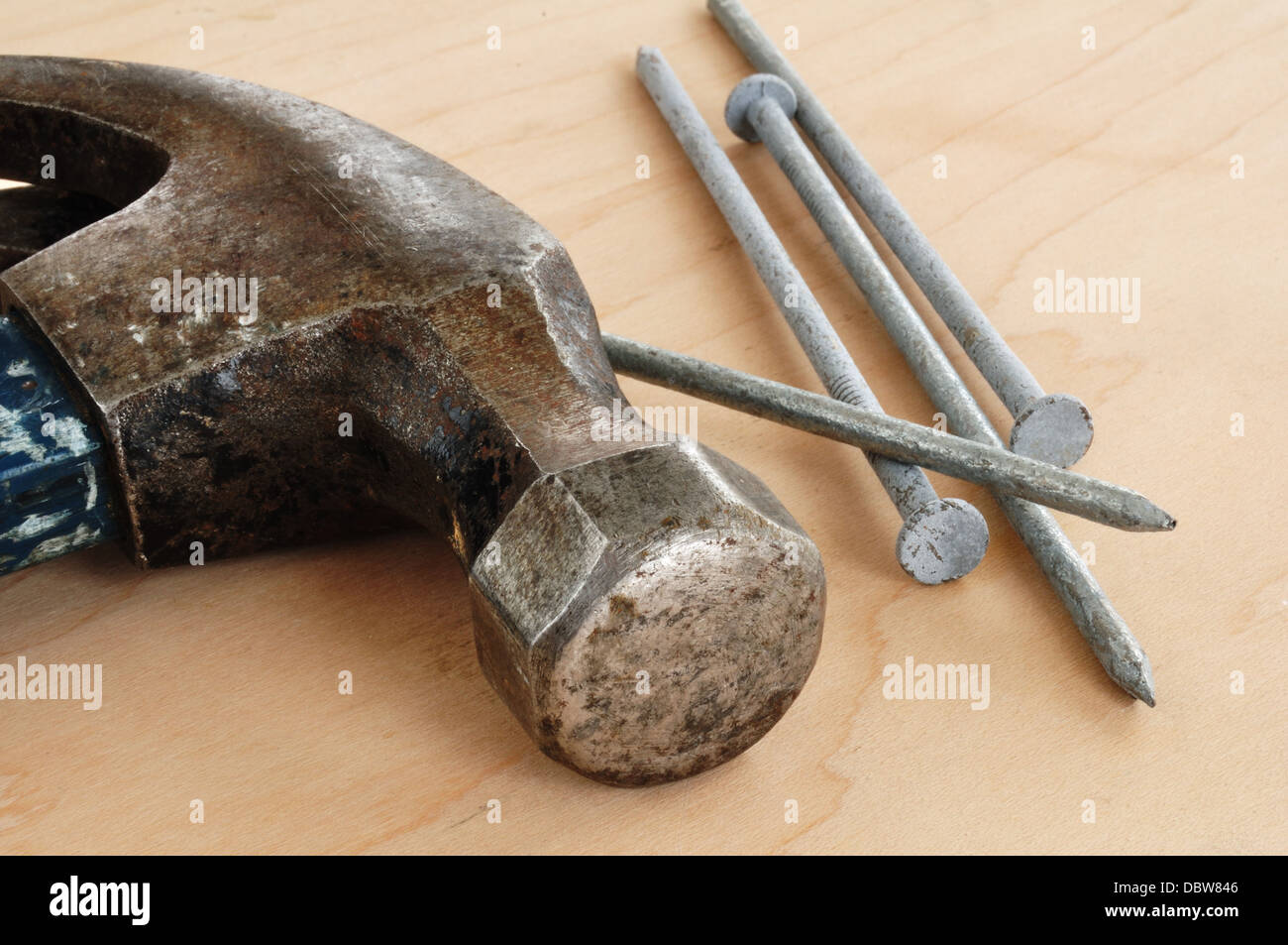 Claw Hammer und Nägel auf einem Holzbrett Stockfoto