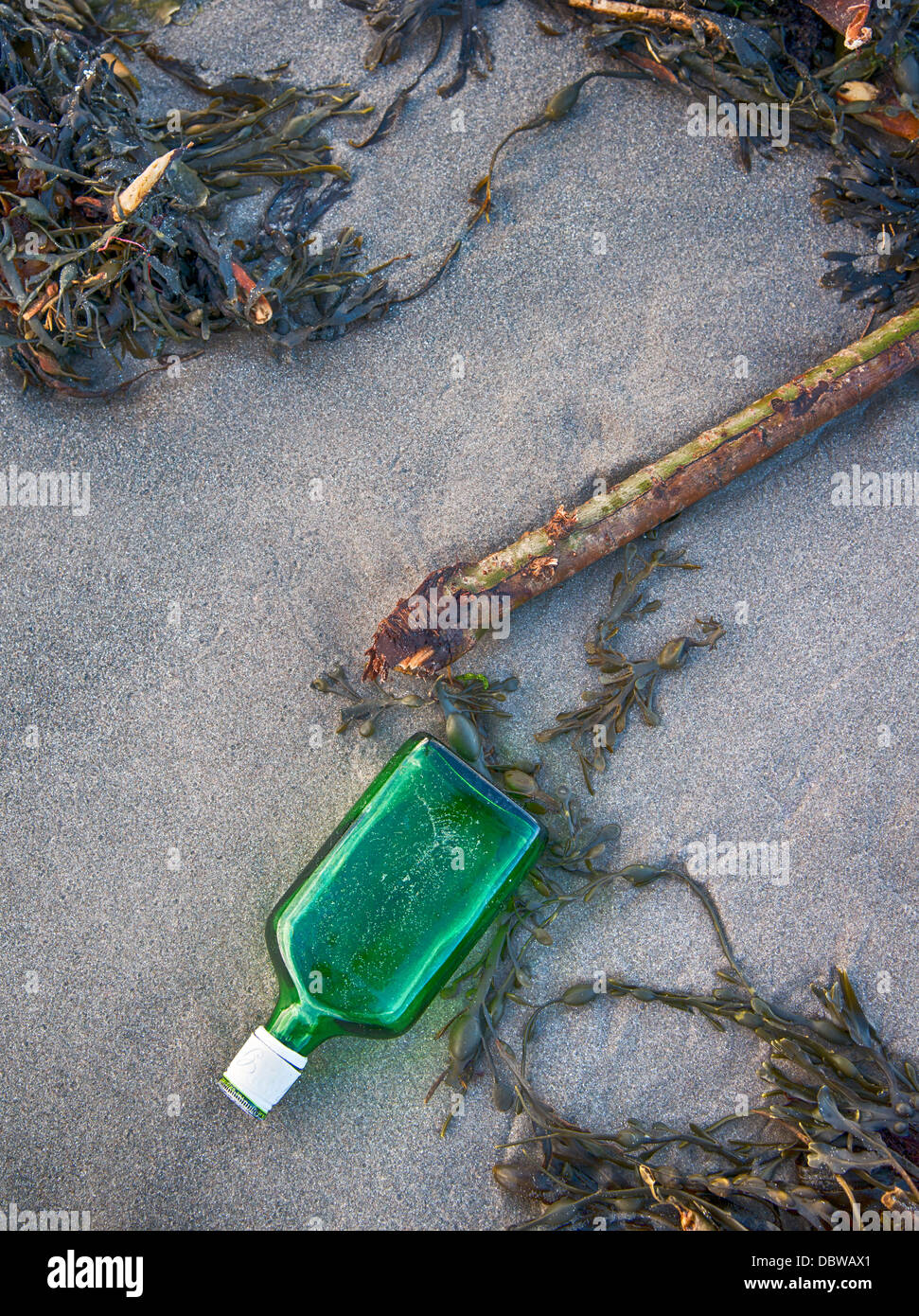 Grüne Flasche einen Strand angespült Stockfoto