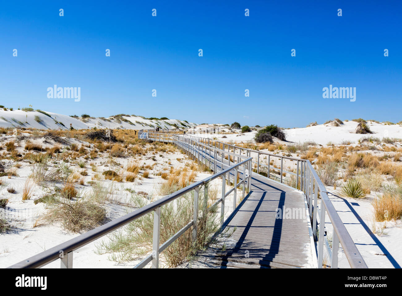 White Sands National Monument in der Nähe von Alamogordo, New Mexico, USA Stockfoto