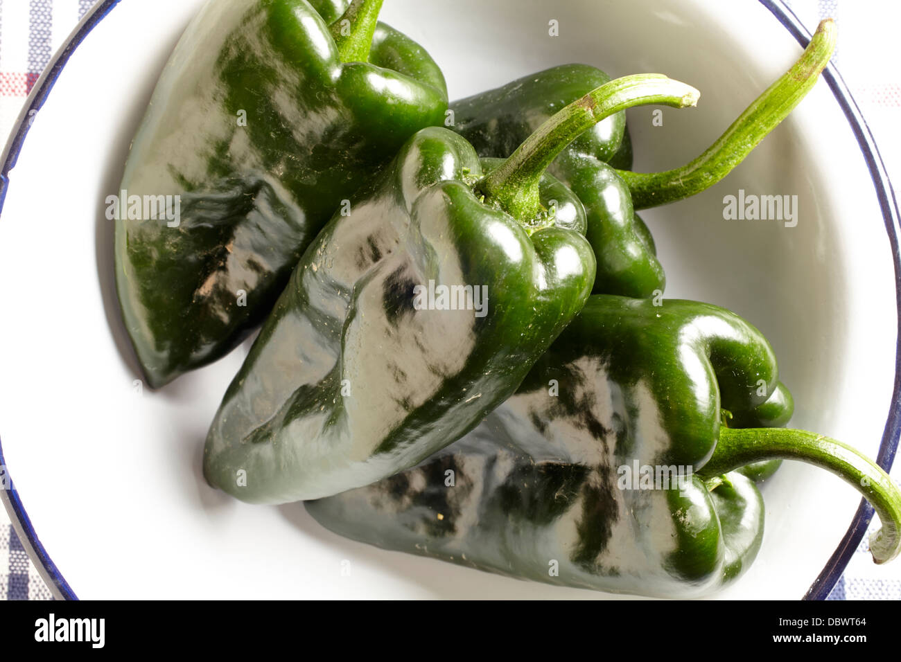 frische reife Poblano-Paprika Stockfoto