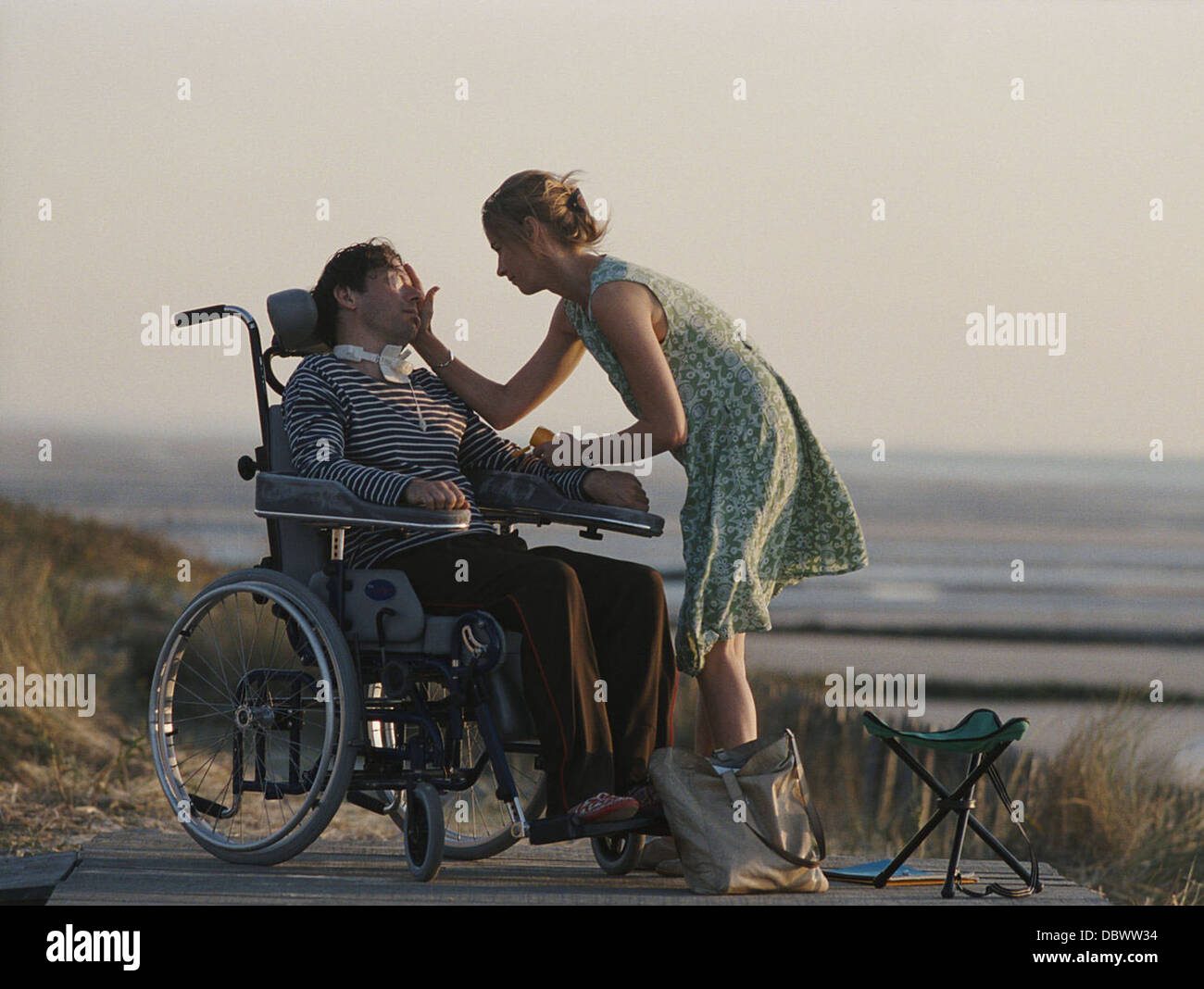 DIE TAUCHERGLOCKE UND SCHMETTERLING (ALT) MATHIEU AMALRIC