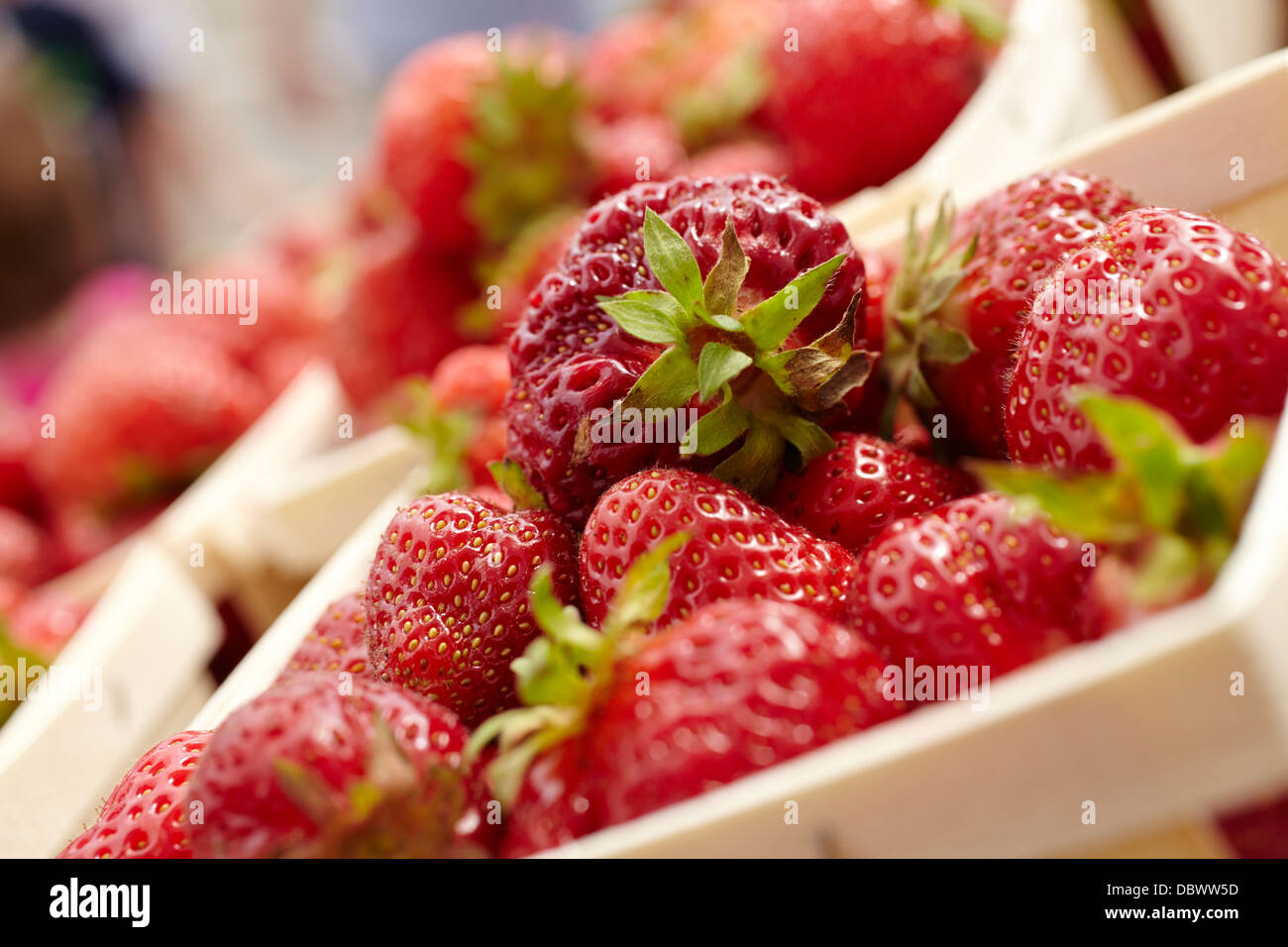 frische reife Erdbeeren auf dem Display auf einen Bauernmarkt Stockfoto