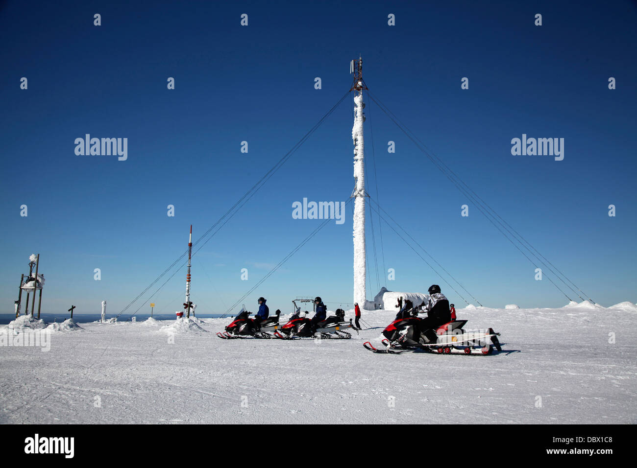 Eine Gruppe von Doos nimmt sich eine Auszeit auf einen Höchststand von Lappland Stockfoto