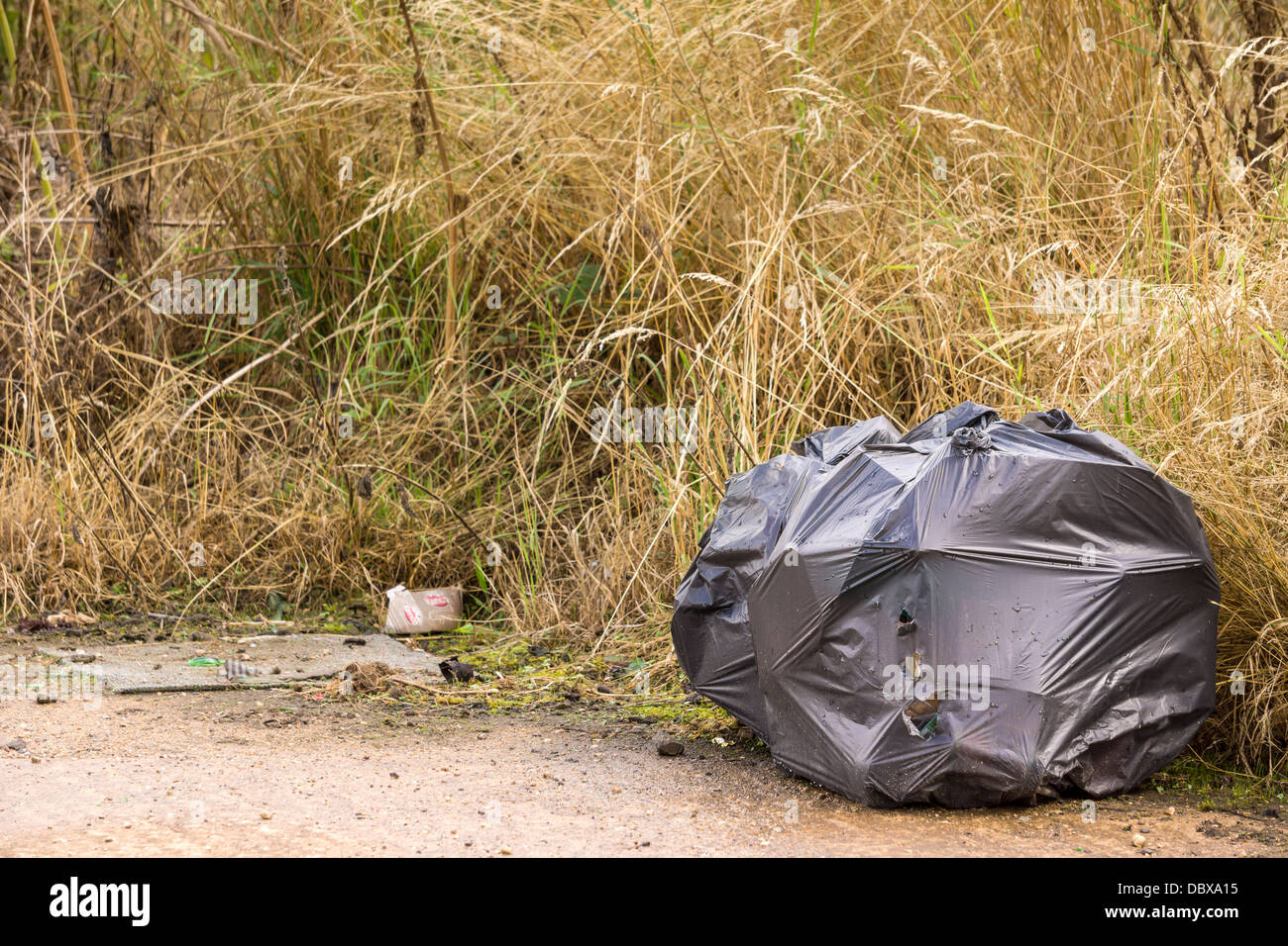 Taschen von Müll hinterlassen auf dem Lande eine unverantwortliche fliegen Kipper. Stockfoto