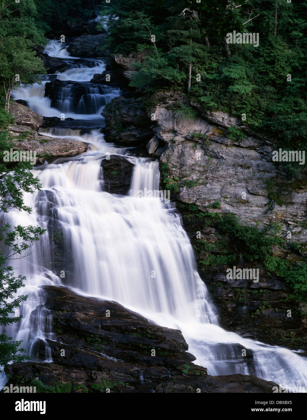 Cullasaja falls westlich von Hochland Macon County natahala National Forest North Carolina Stockfoto