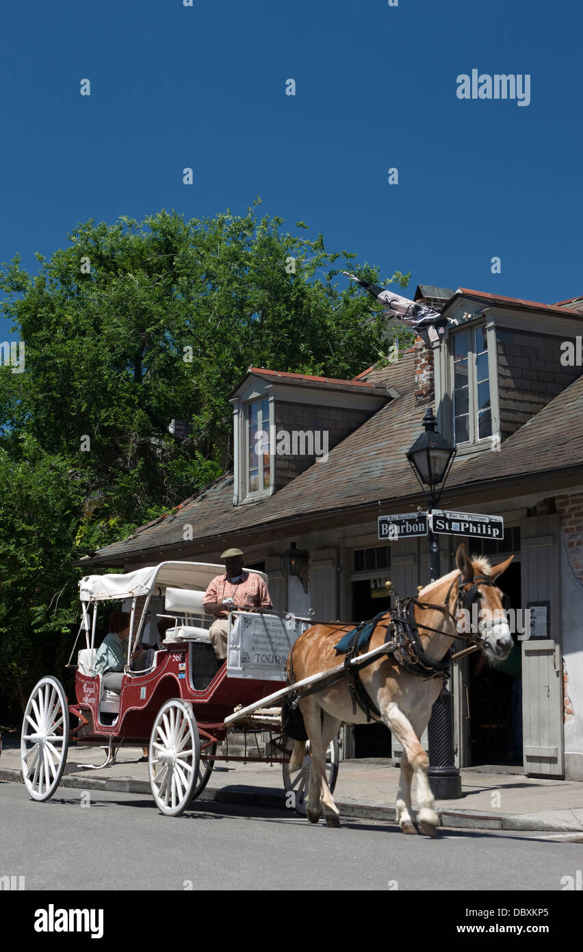 SIGHTSEEING TOUR PFERD KUTSCHE BOURBON STREET FRENCH QUARTER DOWNTOWN NEW ORLEANS LOUISIANA USA Stockfoto