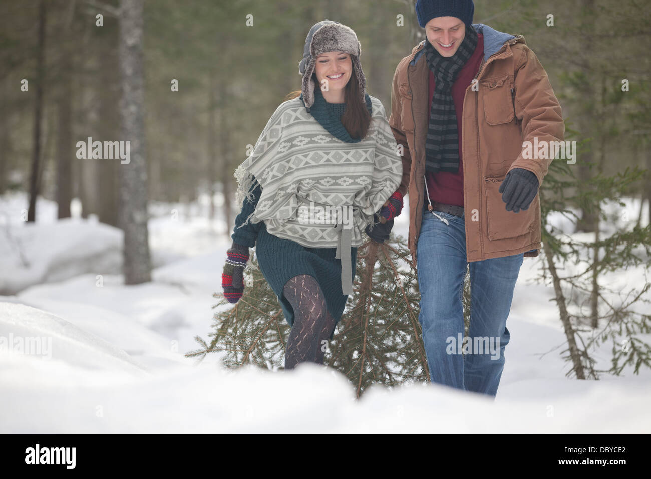 Glückliches Paar frischen Weihnachtsbaum im verschneiten Wälder ziehen Stockfoto