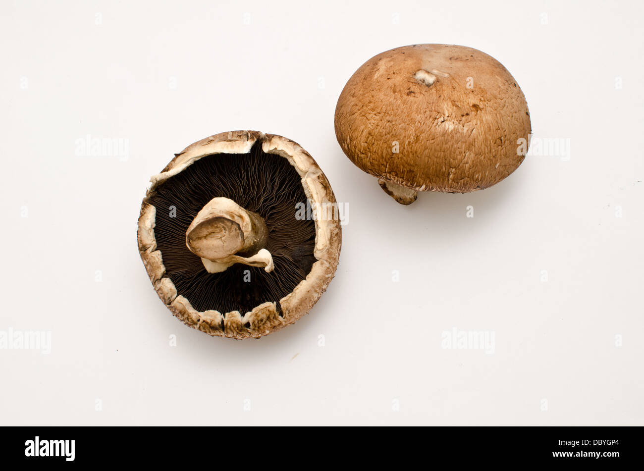 Portobello-Pilze Stockfoto