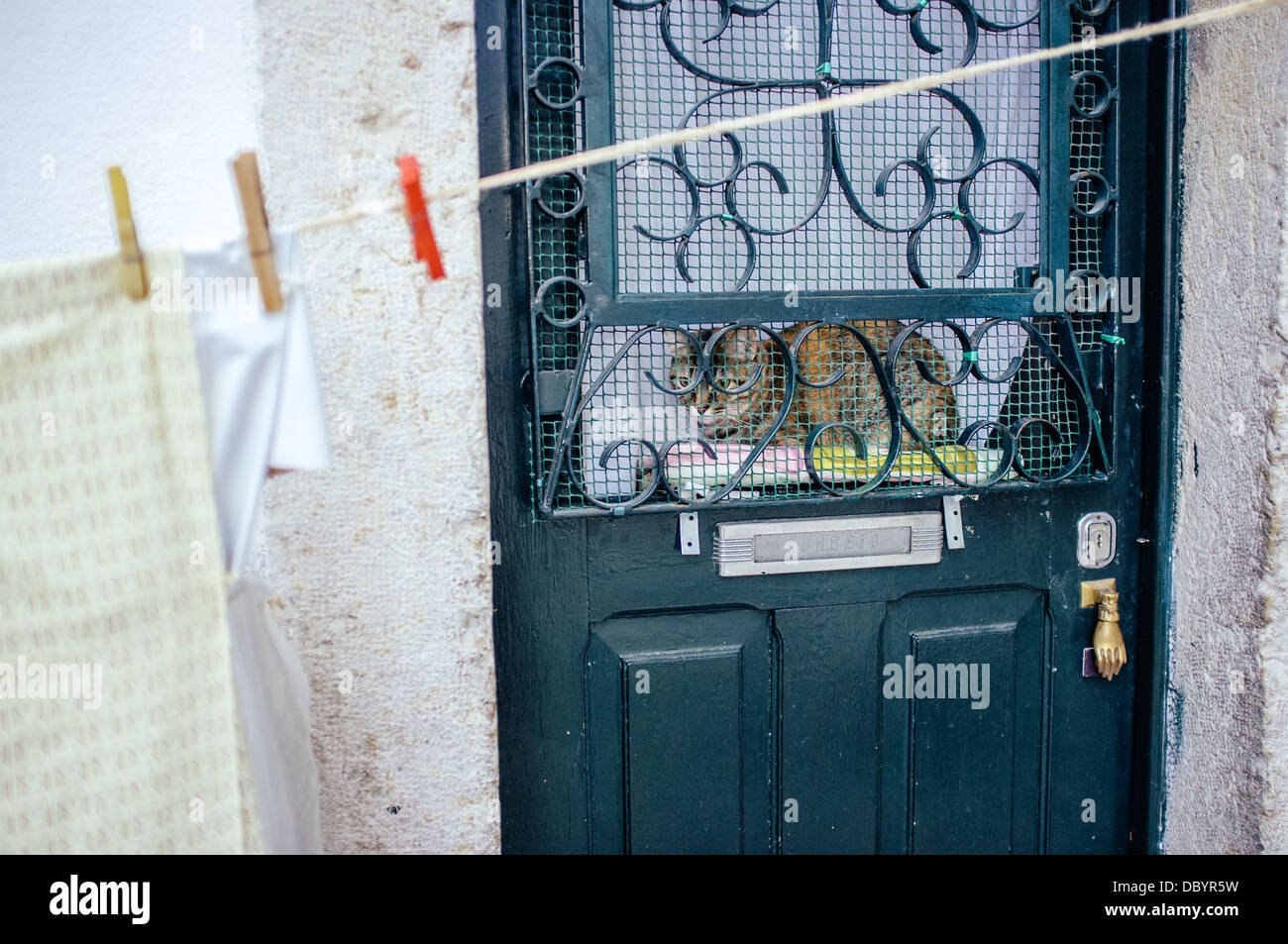 Eine Katze liegt hinter der Tür eines Hauses im Stadtteil Alfama, Lissabon, Klamotten zum Trocknen auf der Außenseite. Stockfoto