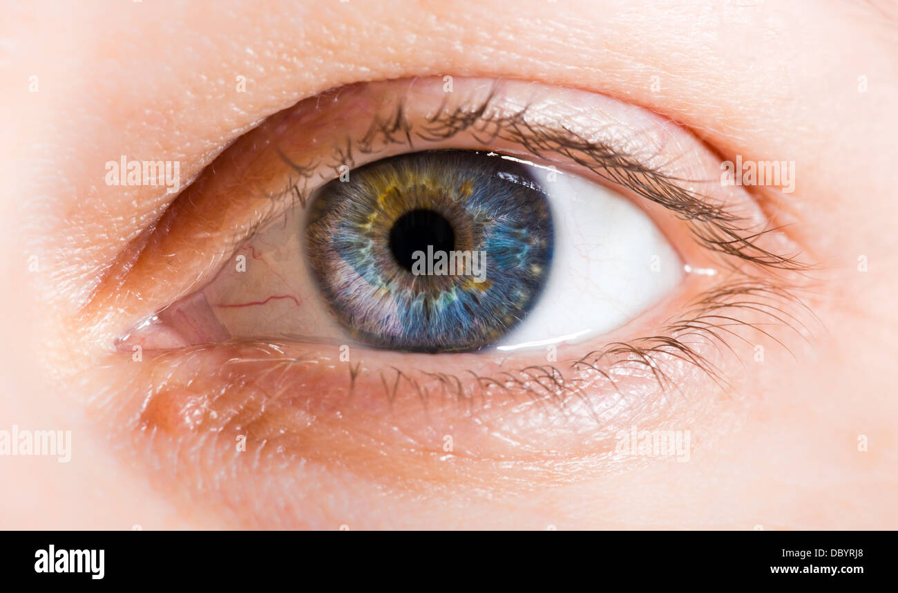 Makro-Bild des menschlichen Auges Stockfoto