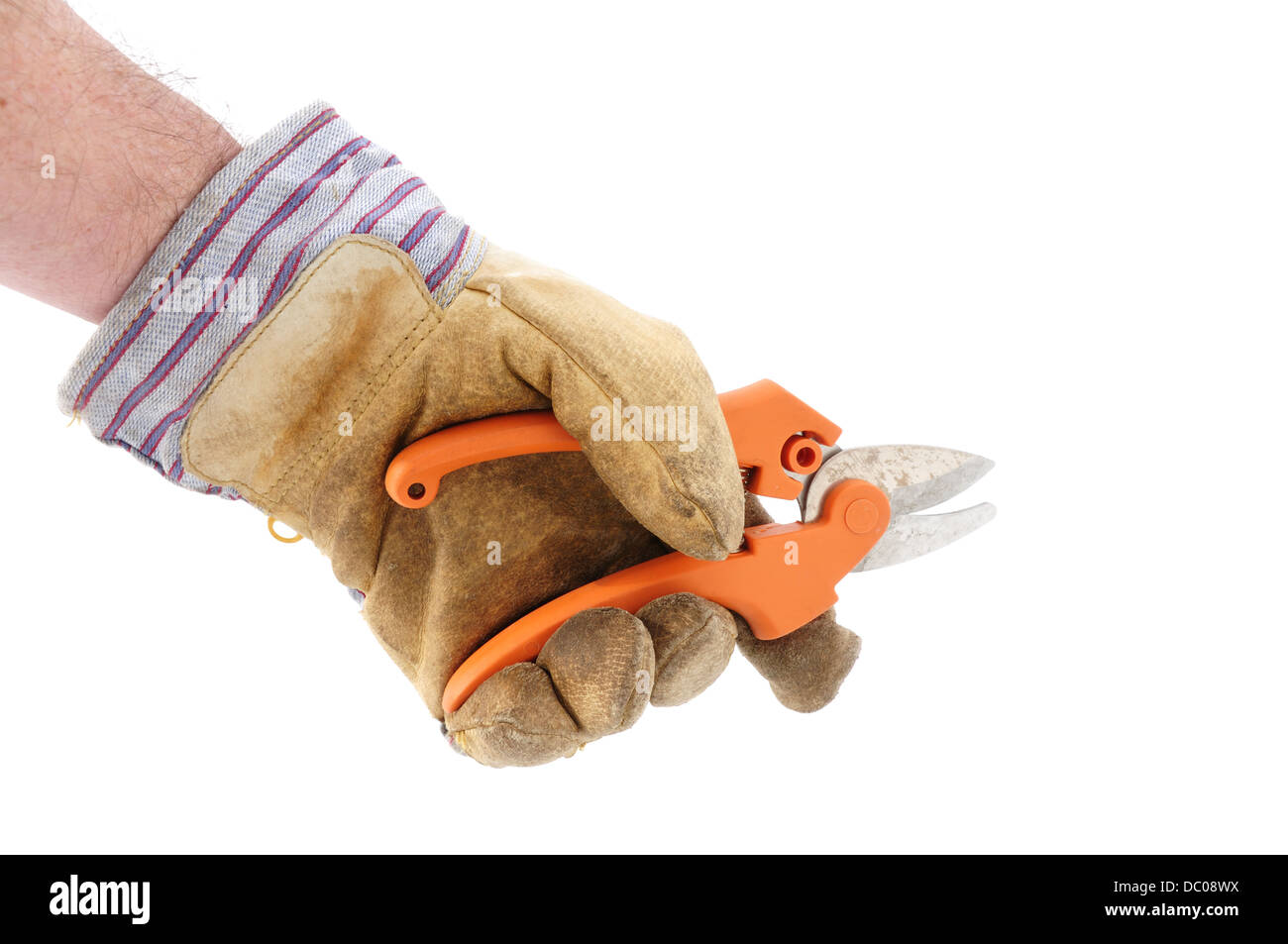 Trägers Gartenarbeit Handschuhe halten / mit Baum-, Rebscheren / Gartenschere Stockfoto