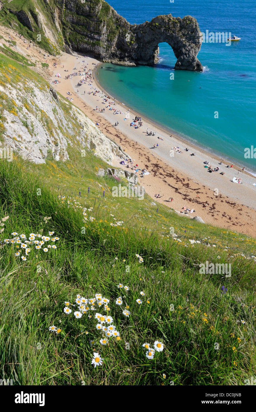 Durdle Door natürlichem Kalkstein Bogen auf der Jurassic Coast in der Nähe von West Lulworth in Dorset, Englang uk gb Stockfoto