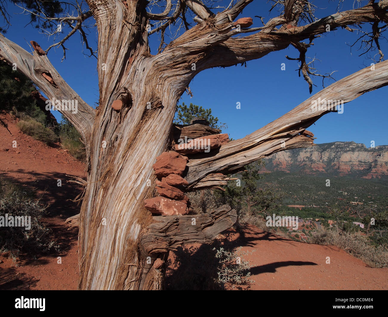 Rote Felsen gestapelt in Wacholder im Flughafen Mesa in Sedona, Arizona, USA, Amerika Stockfoto