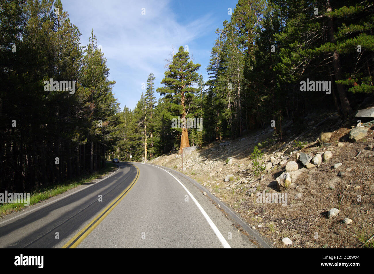 Tioga Pass - ein Gebirgspass in der Sierra Nevada führt durch den Yosemite National Park Stockfoto