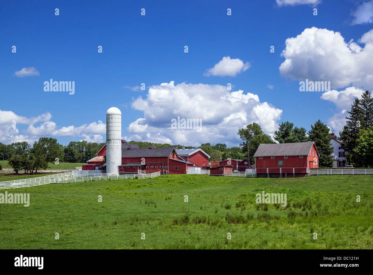 Malerische Pferdefarm im ländlichen Gladstone New Jersey, USA Stockfoto