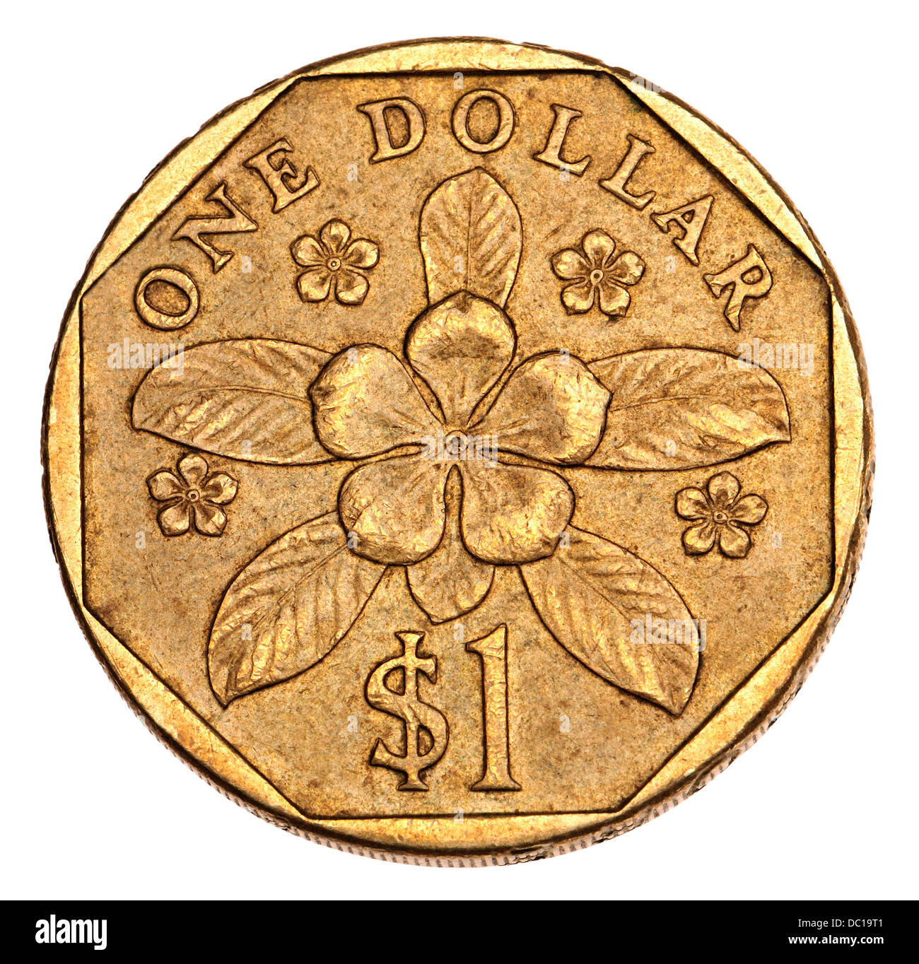 Singapur £1 Münze - Immergrün Blüte (Lochnera Rosea) Stockfoto