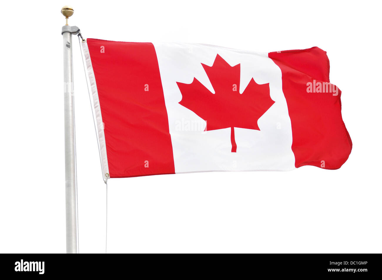 Flagge Kanadas isoliert auf weißem Hintergrund Stockfoto