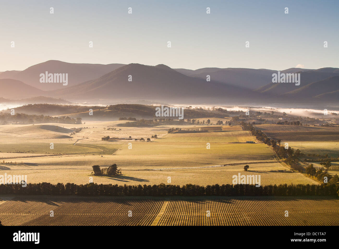 Ein Ausblick über ein Tal im Yarra Valley in Victoria, Australien Stockfoto