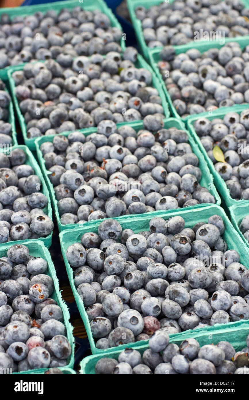 Frische, Reife Blaubeeren in einem örtlichen Bauernmarkt, Summit, New Jersey, USA Stockfoto