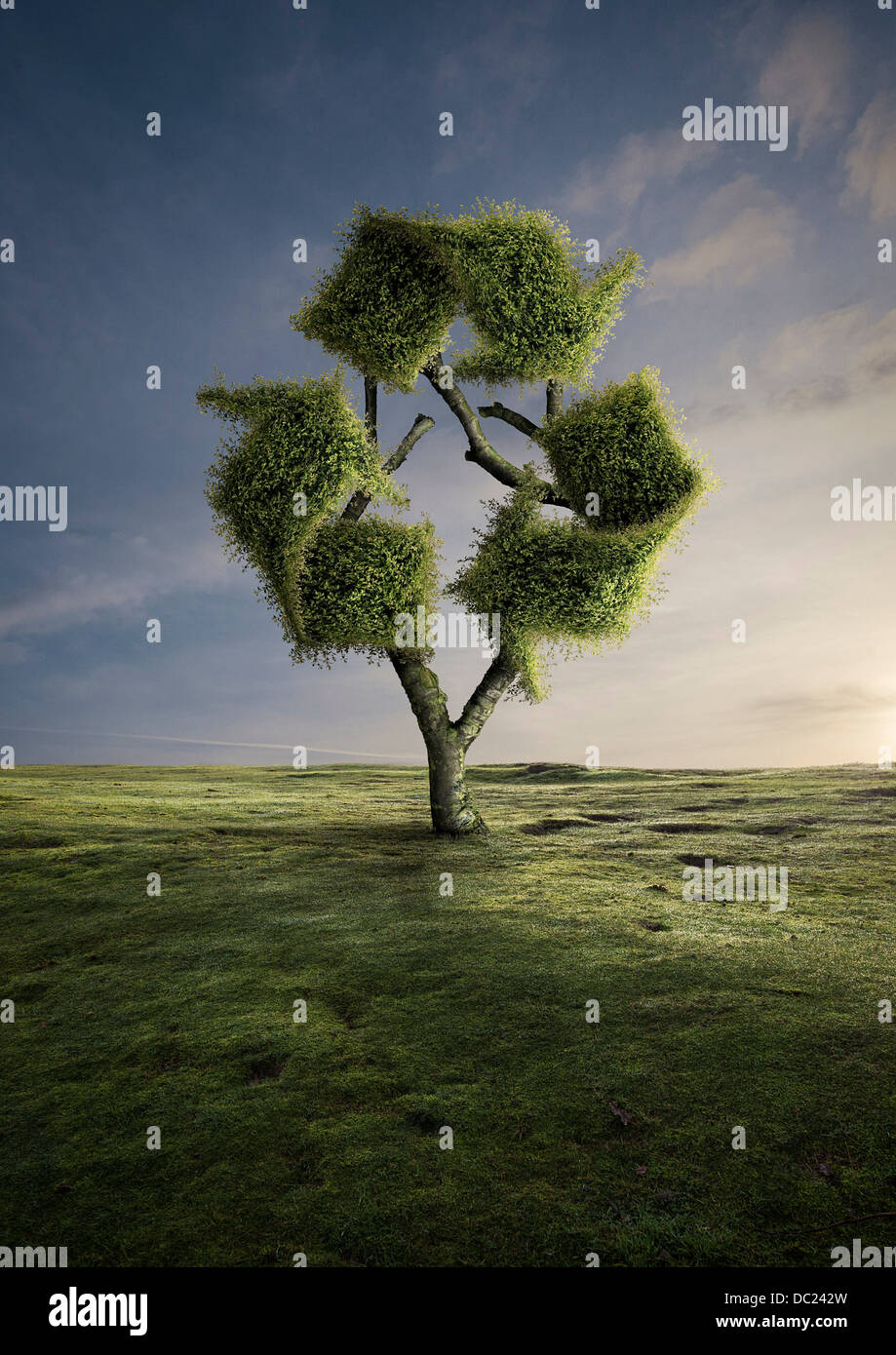 Formschnitt Baum recycling-symbol Stockfoto