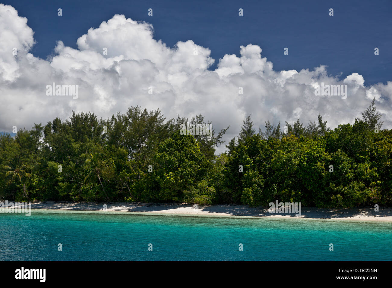 Strand und die Lagune, Florida Inseln, Salomonen Stockfoto