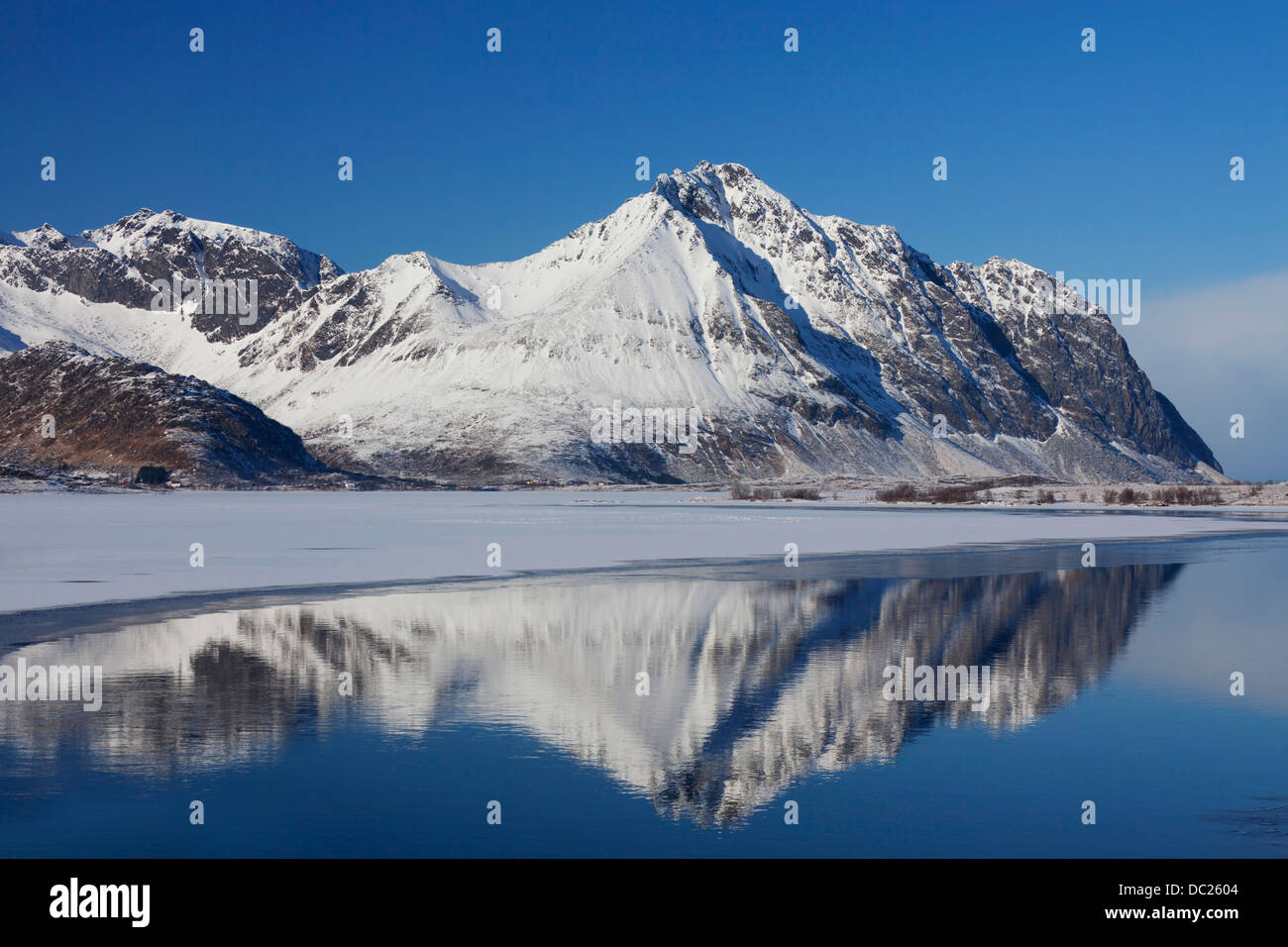 Reflexion der Berge am Ytterpollen im Schnee im Winter, Vestvågøya, Lofoten Inseln, Norwegen Stockfoto