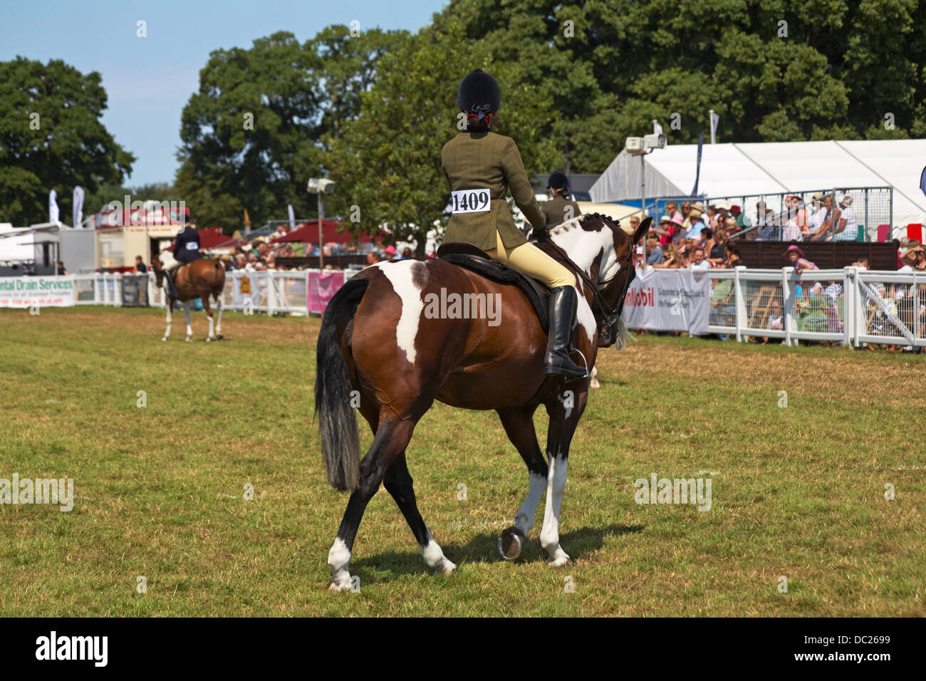 Reiter im New Forest & Hampshire County Show, in der Nähe von Brockenhurst, Hampshire UK 1. August 2013. Stockfoto