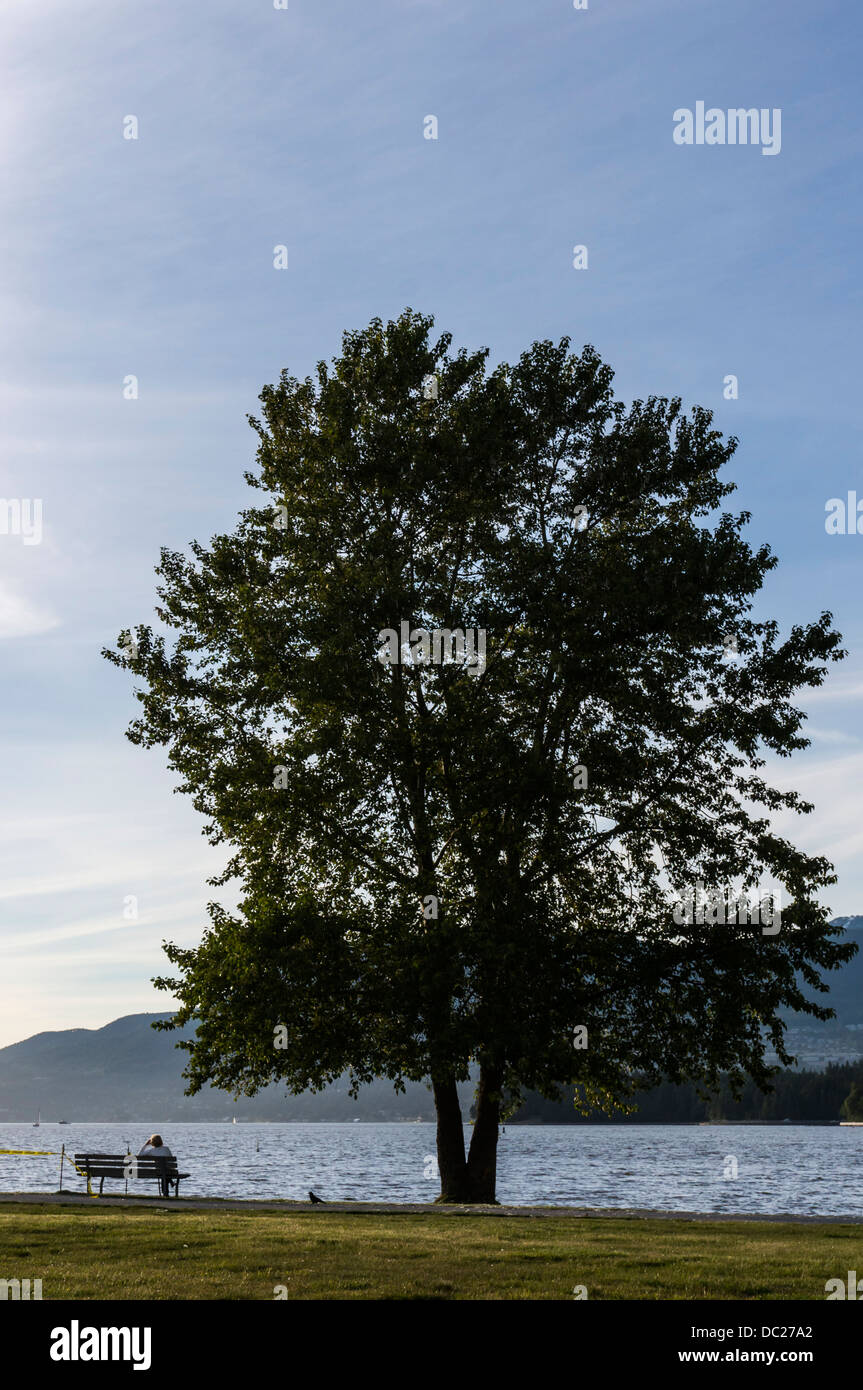 Person auf einer Bank am Kits Beach, Vancouver, BC, Kanada. Stockfoto