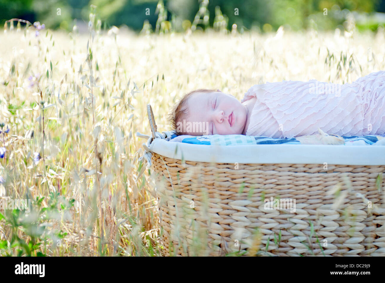 Neugeborenes Babymädchen schlafen in Körbchen im Feld Stockfoto