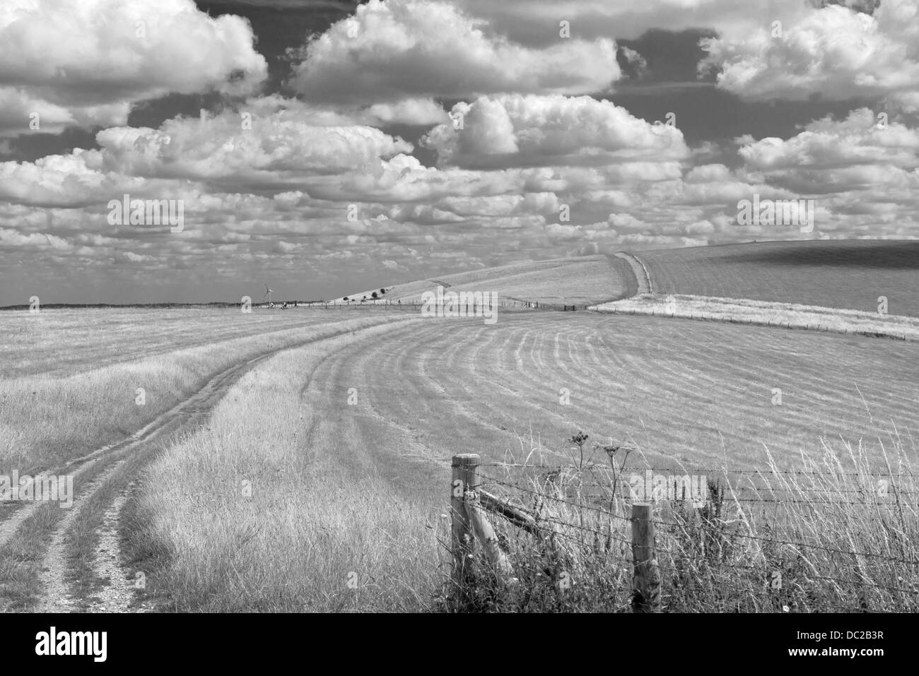 Landschaftsblick auf den South Downs Way führt zu Castle Hill Nature Reserve, East Sussex, England, Uk (Schwarzweiß) Stockfoto