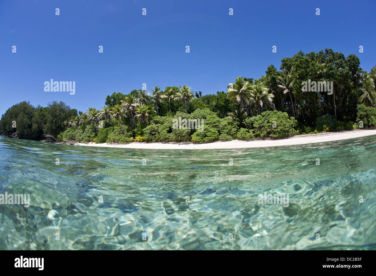 Strand von Rock-Inseln, Mikronesien, Palau Stockfoto
