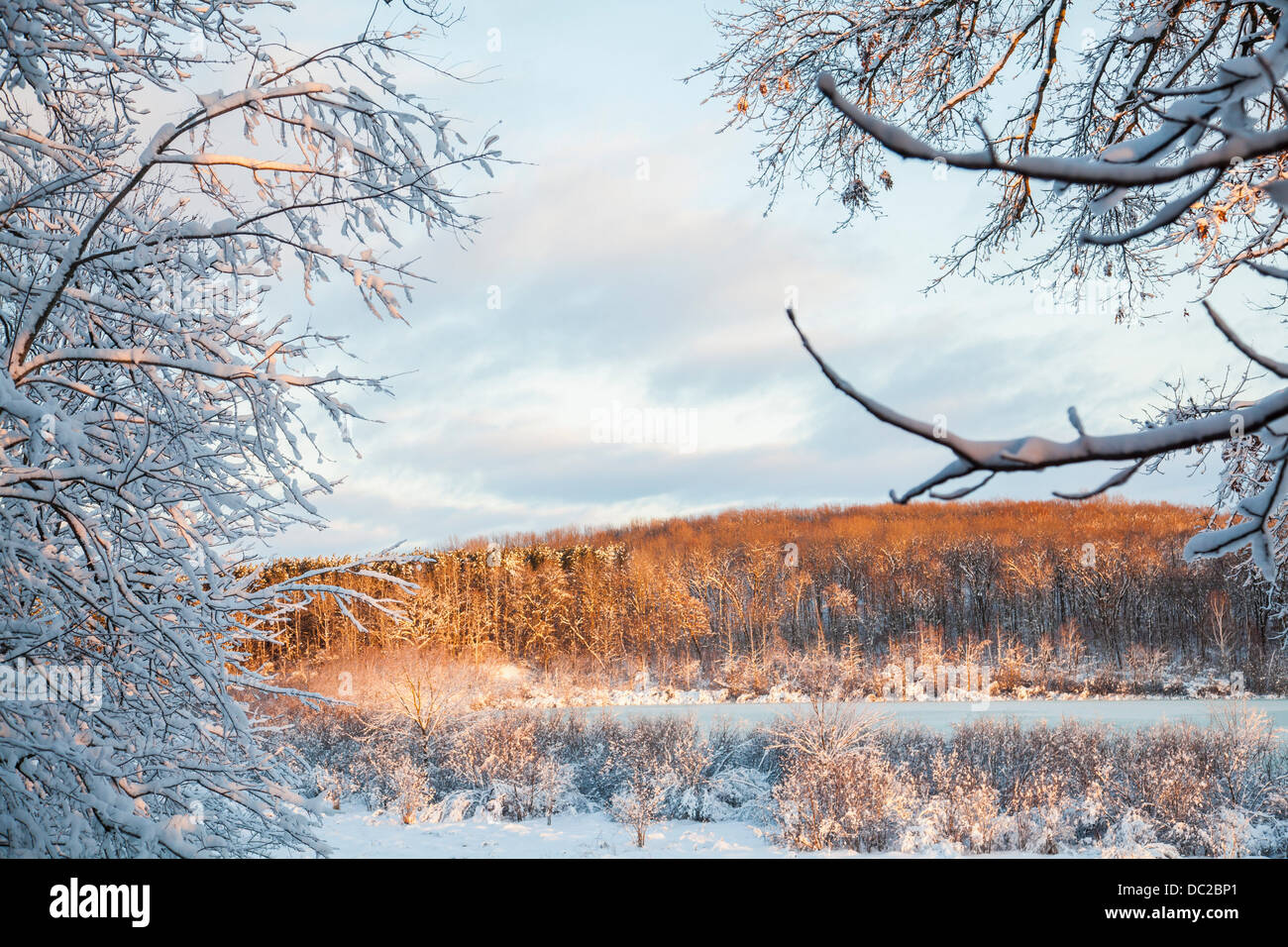 Winterliche Landschaft in Szene Stockfoto