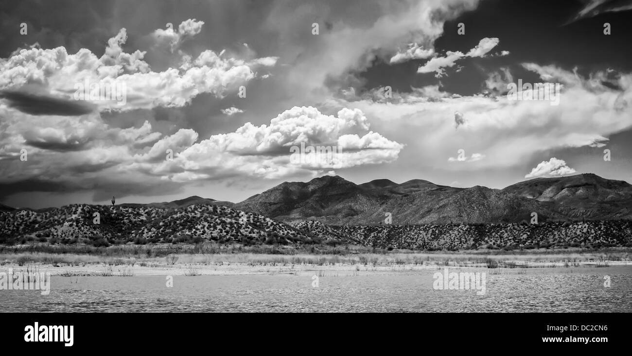 Ein breites erschossen Blick auf die Ufer des Lake Roosevelt in Arizona. Stockfoto