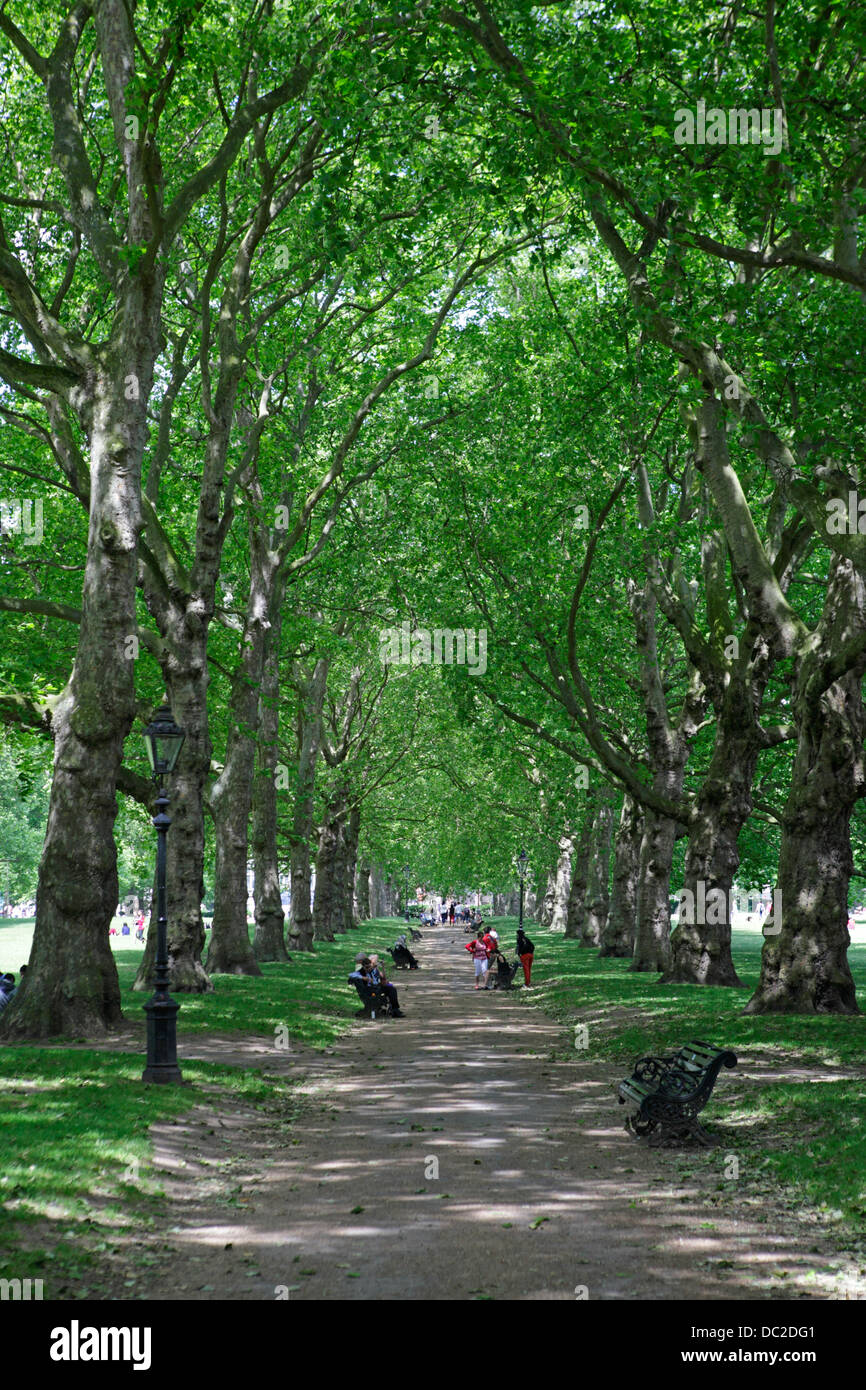 Green Park in London, Großbritannien Stockfoto