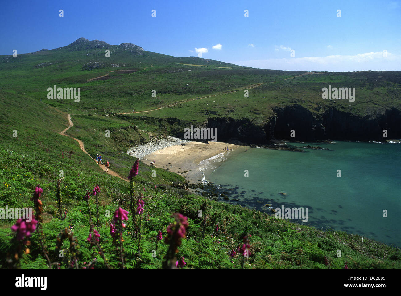 Porthmelgan oder Porth Melgan Strand unterhalb Carn Llidi Mountain Str. Davids Kopf in der Nähe von St. David's Pembrokeshire West Wales UK Stockfoto