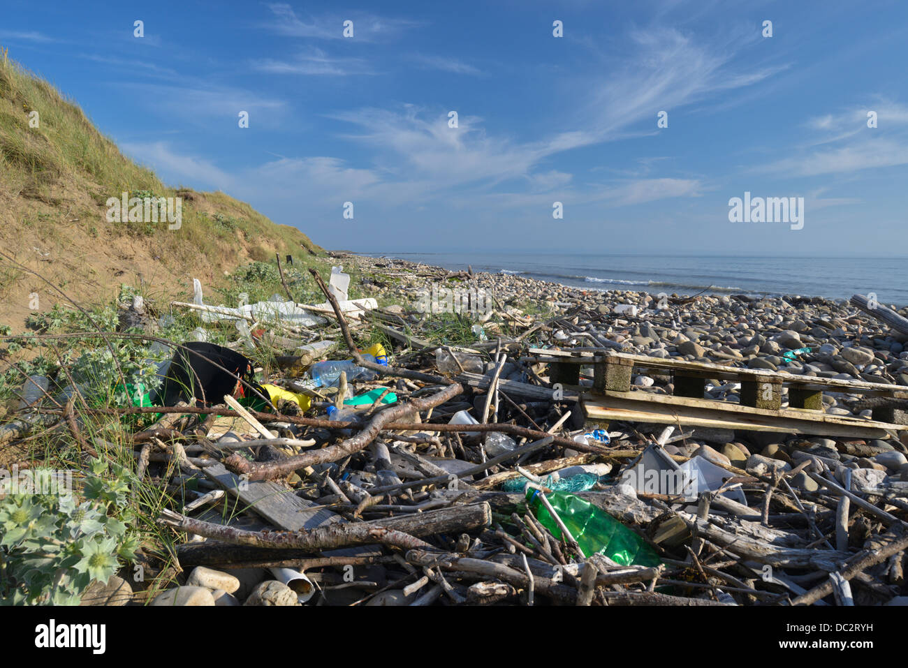 Treibholz und Müll angesammelt am Strand von Qualitätsorientierung Nature Reserve, South Wales Stockfoto